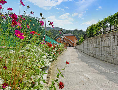 pro_img01 pro_img01.jpg